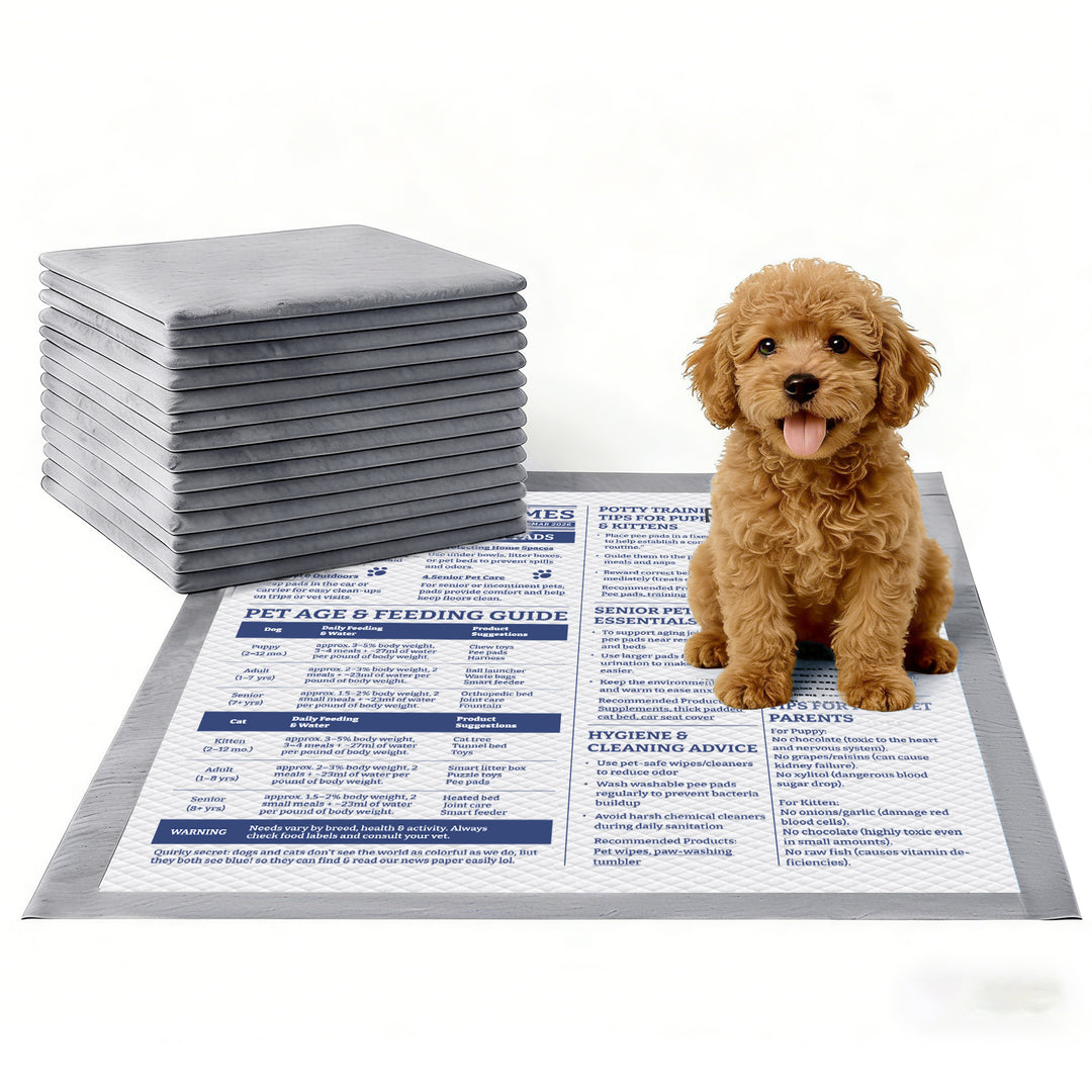 GoofyPet Training Pad 22''x22'' 50 pieces, NewsPaper Theme for Pet, High Absorbency Dog Pee Pads, Doggie Pads, Disposable Puppy Pee Pads