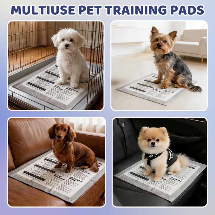 GoofyPet Training Pad 22''x22'' 50 pieces, NewsPaper Theme for Pet, High Absorbency Dog Pee Pads, Doggie Pads, Disposable Puppy Pee Pads