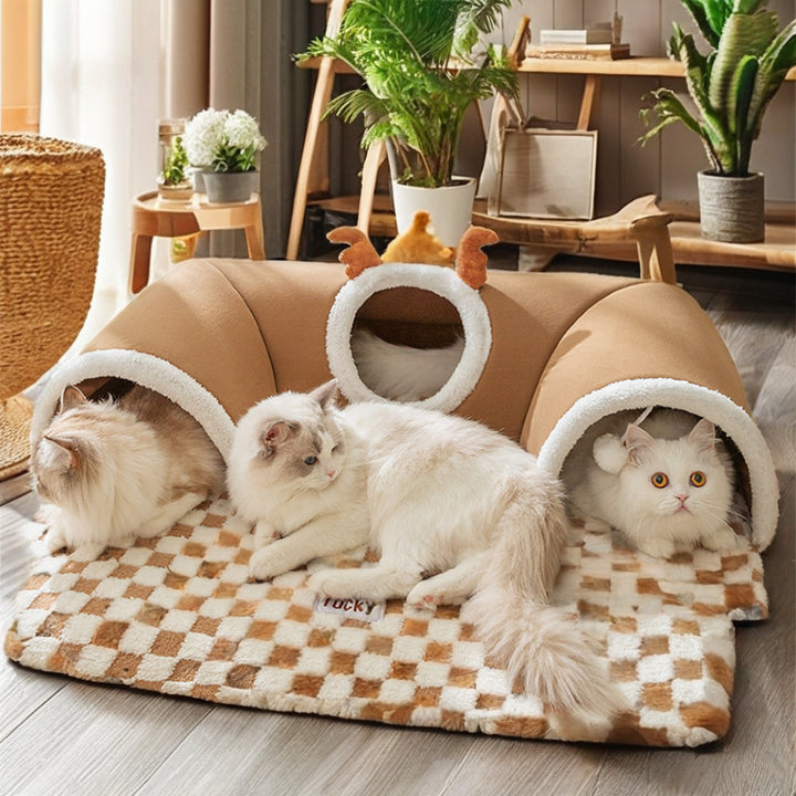 New Cat Bed and Tunnel Design
