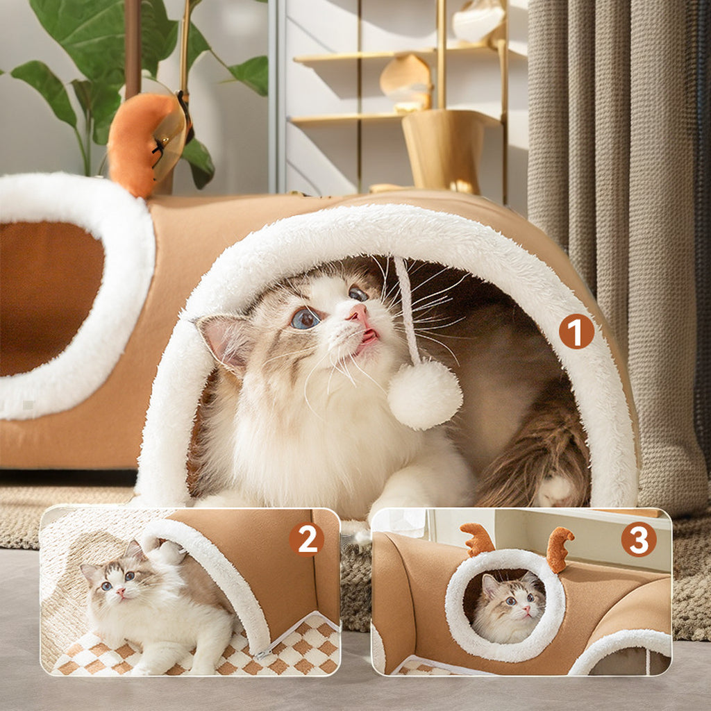 New Cat Bed and Tunnel Design
