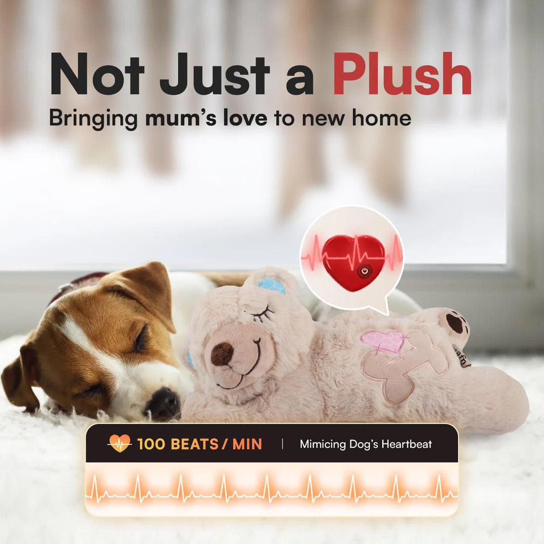Puppy Soothing Heartbeat Bear Comfort Dog Sleep Aid Plush Toy for Crate Training