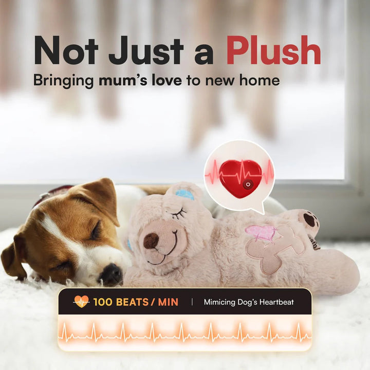 Puppy Soothing Heartbeat Bear Comfort Dog Sleep Aid Plush Toy for Crate Training
