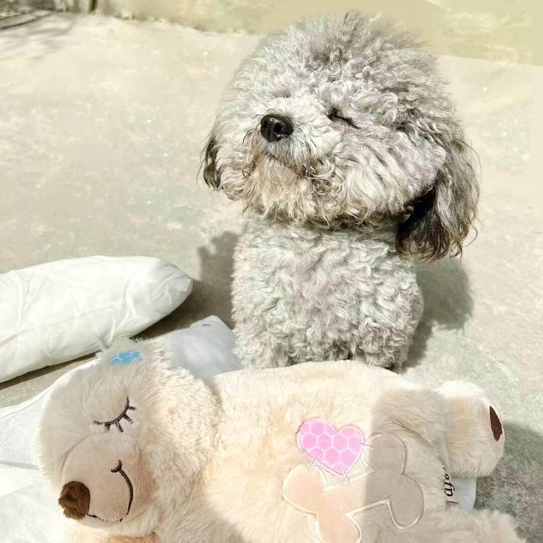 Puppy Soothing Heartbeat Bear Comfort Dog Sleep Aid Plush Toy for Crate Training
