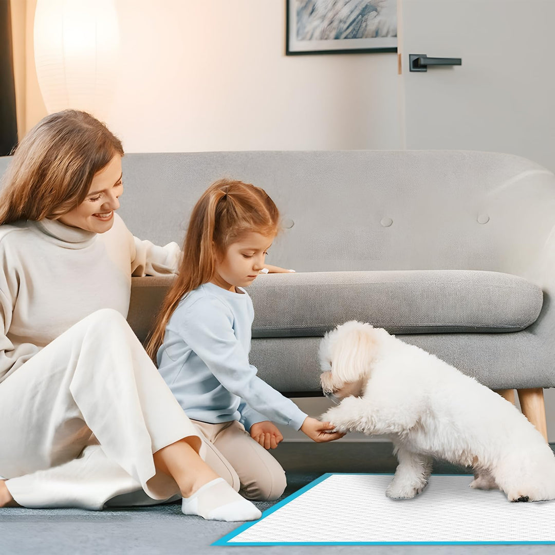 GoofyPet 28" x 30" Training Pad, 50 Count Dog Pee Pads, Doggie Pads, Disposable Puppy Pee Pads (Copy)