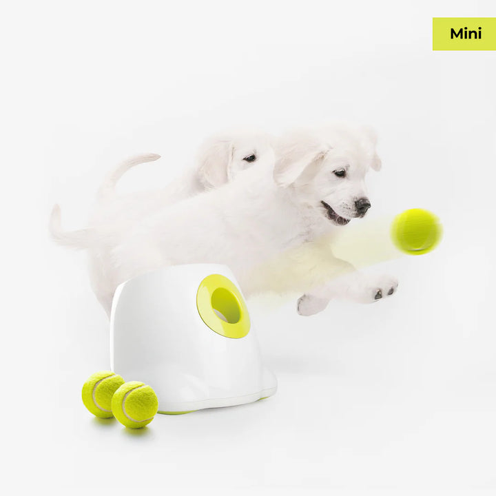 Original Dog Automatic Ball Launcher for Small and Medium Dogs, Interactive Dog Tennis Ball Throwing Machine, Enrichment Mental Stimulation Toys, Reduce Boredom & Stress
