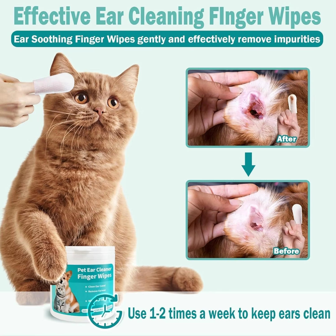 50pcs/pack PET Teeth Cleaning Wipes for Dogs & Cats, Remove Bad Breath by Removing Plaque and Tartar Buildup No-Rinse Dog Finger Toothbrush, Disposable Gentle Cleaning & Gum Care Pet Wipes