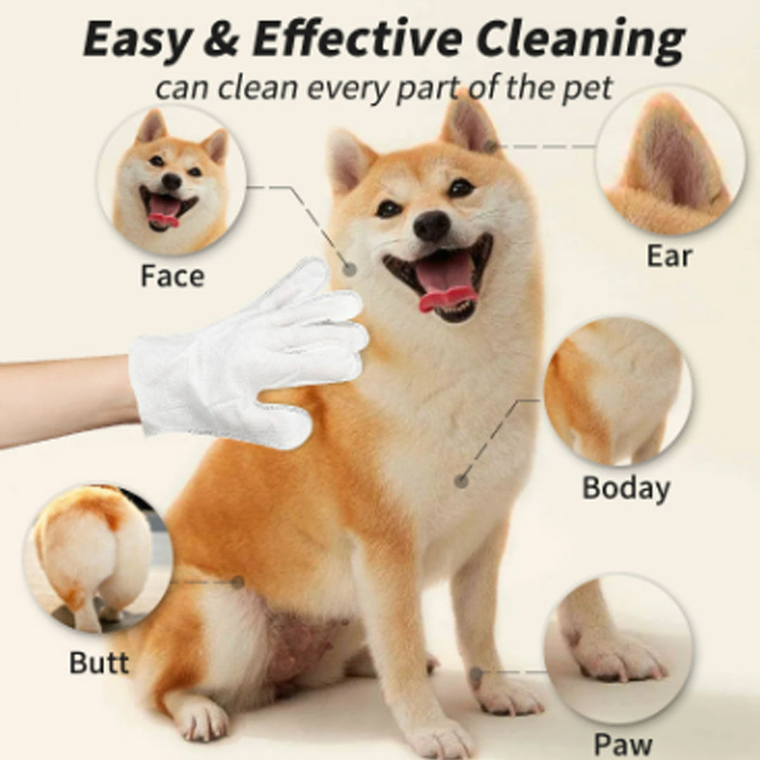 6 pcs/pack Cleaning & Deodorizing Bathing Wipes for Dogs and Cats Pet Grooming Wipes for Face, Body and Paws, Moisturizing No-Rinse Disposable Gloves