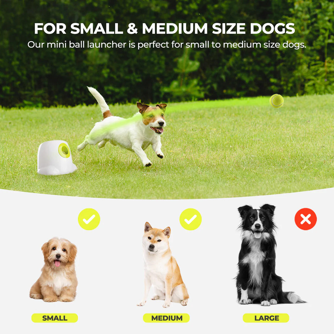 Original Dog Automatic Ball Launcher for Small and Medium Dogs, Interactive Dog Tennis Ball Throwing Machine, Enrichment Mental Stimulation Toys, Reduce Boredom & Stress